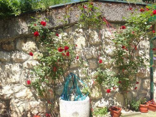 Hostal Ahmagic Guest House