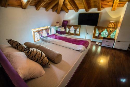Hostal Pansion Oscar Summer Garden