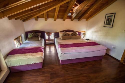 Hostal Pansion Oscar Summer Garden