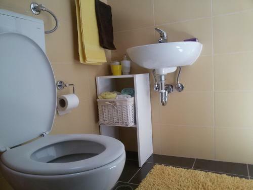 Apartment Mana