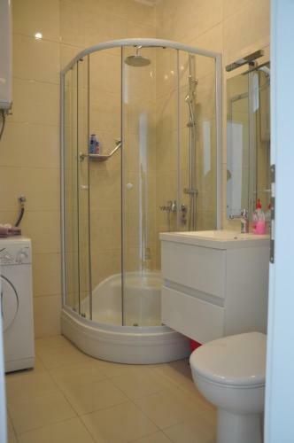 Central Apartment Mirza