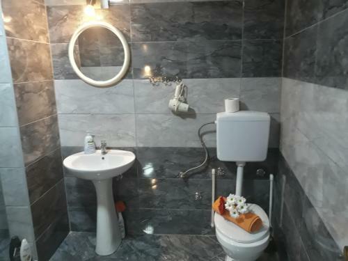 Apartment Lotika