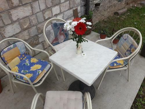 Apartment Lotika
