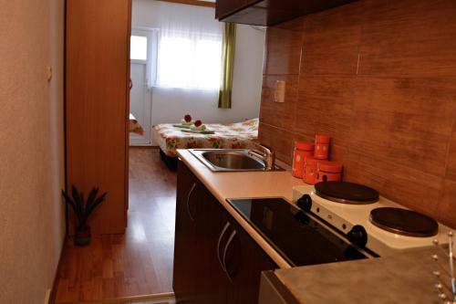 Apartment Lotika