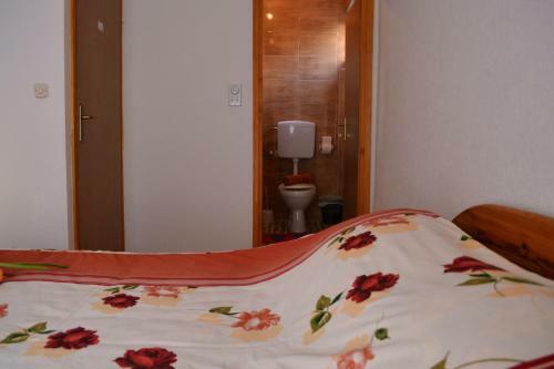 Apartment Lotika