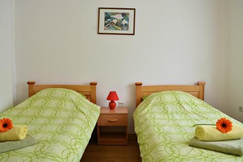 Apartment Lotika