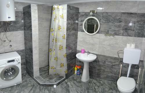 Apartment Lotika