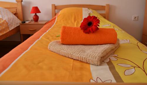 Apartment Lotika