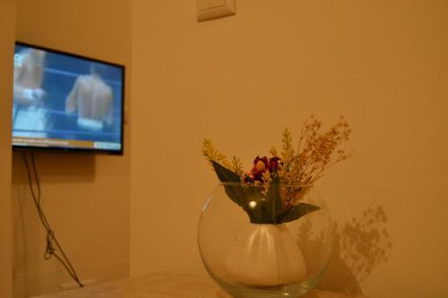 Apartment Kaya