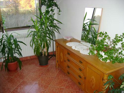 Hostal Guest House Robi