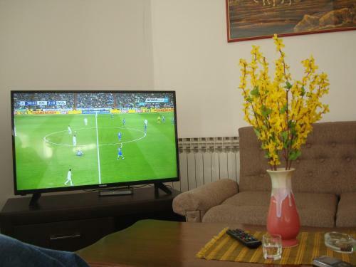 Apartment Sakotic