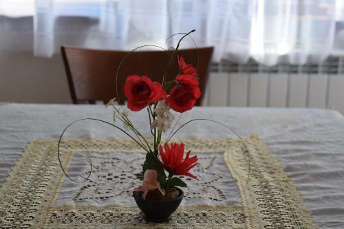 Grande Apartment