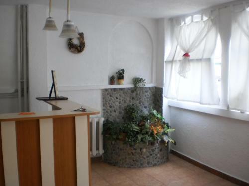 Hostal Family Hotel Vedrina