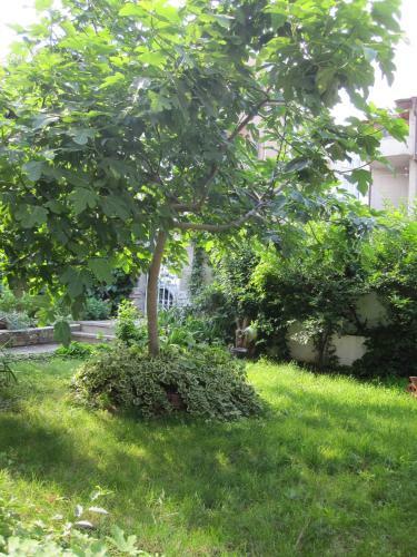 Hostal Guest House Milena