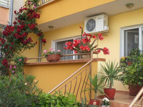 Hostal Guest House Stoyanovi