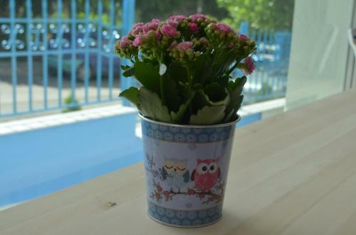 Hostal Guesthouse Nikolovi