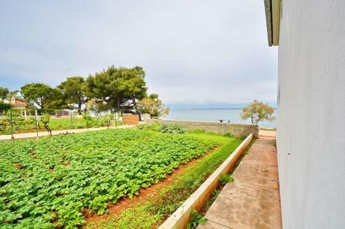 Apartments By The Sea Ugljan - 8262