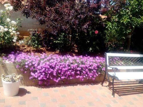 Apartment Marsa