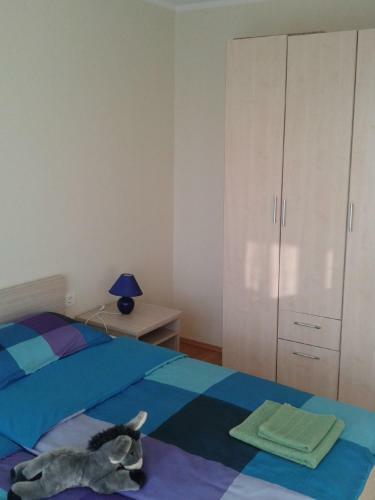 Apartment Rosa