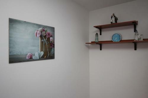 Apartments Zec