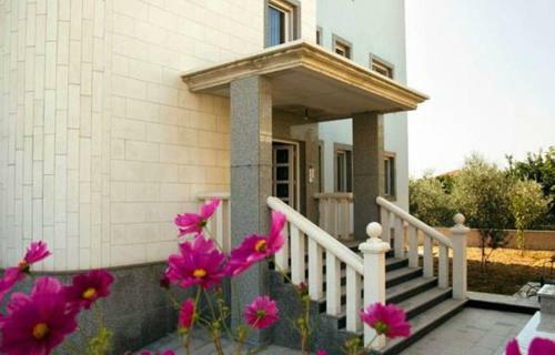 Apartments Jozic