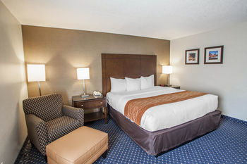Hotel Comfort Inn Downers Grove