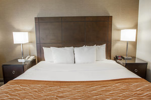 Hotel Comfort Inn Downers Grove