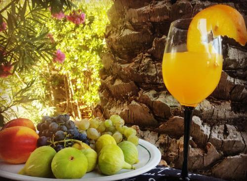 Hostal Palma Guesthouse
