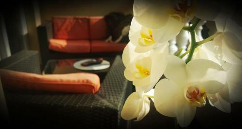 Hostal Palma Guesthouse