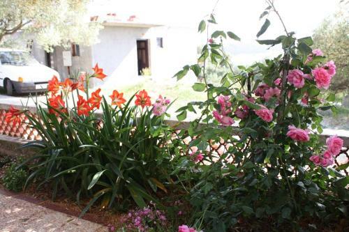 Hostal Apartment Supetarska Draga - Gonar 2002c