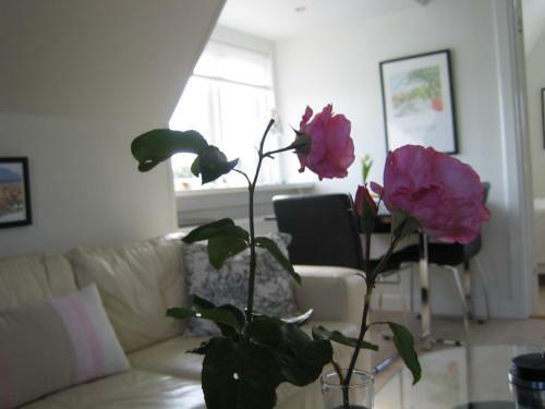 Apartamento Skagen-vacation