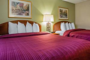 Hotel Quality Inn & Suites