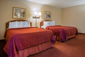Hotel Quality Inn & Suites