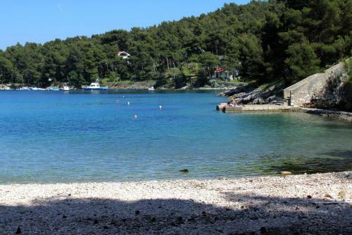 Apartment Mali Losinj 2198c