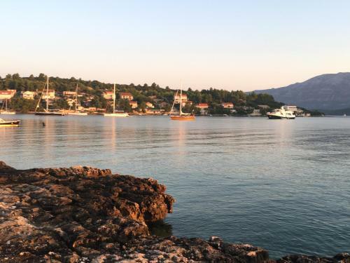 Seafront Garden Apartments Lumbarda