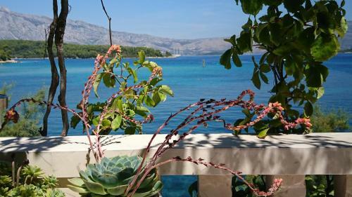 Hostal Guest House Stone House Gregov