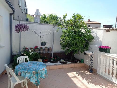 Apartment Matej