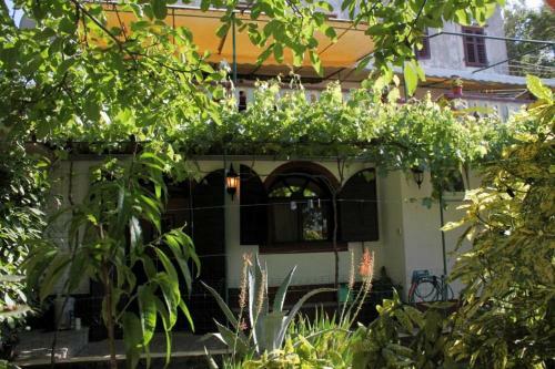Apartment Mali Losinj 8002a