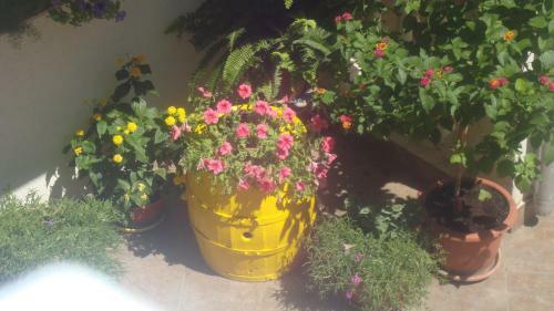 Apartments Vodice Marica