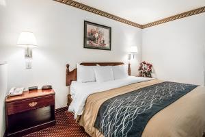 Hotel Comfort Inn Southeast