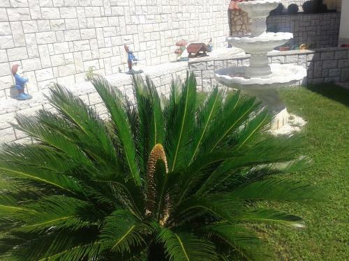 Apartamentos Opatija Centar