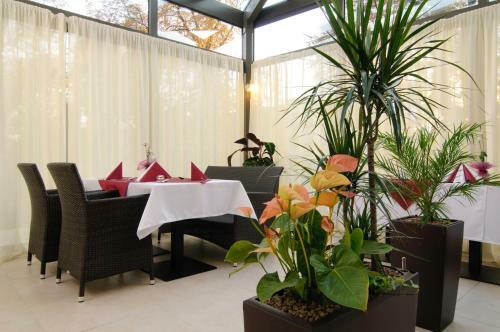 Hotel Penzi�n Central Park