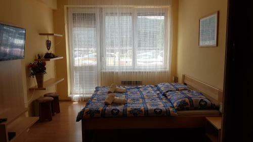 Apartment Magura