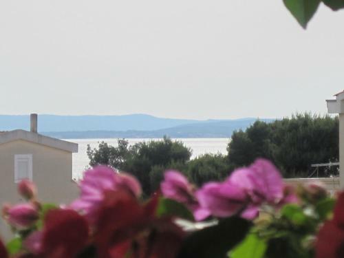 Apartments Villa Violet