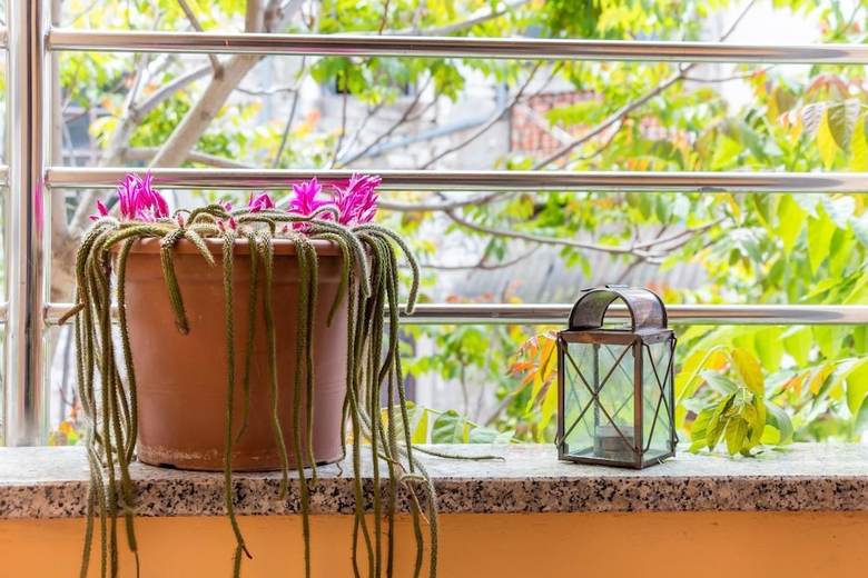 Hostal Top Center Rooms & Studio