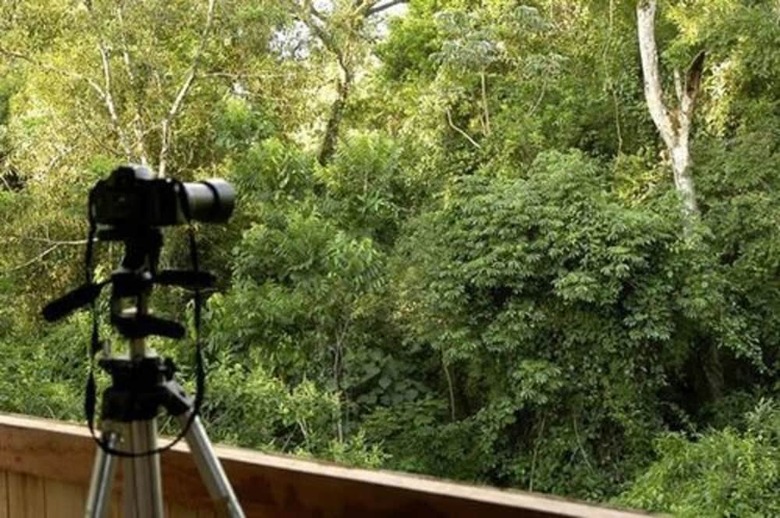 Hotel La Aldea De La Selva Lodge