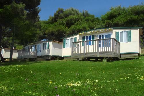 Camping Arena Stoja