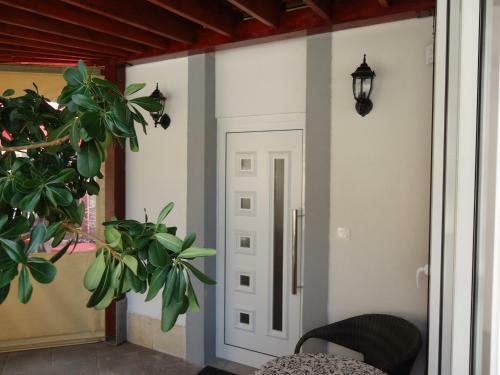 Apartment Dalmatino