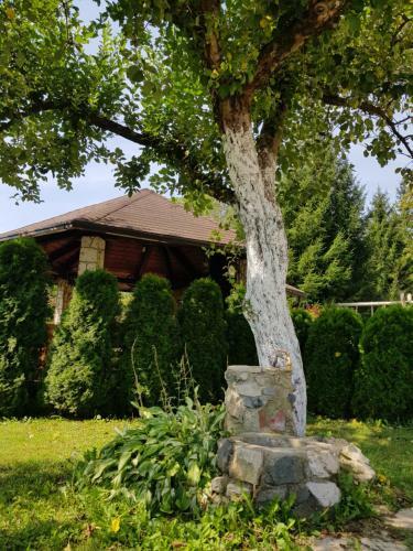 Hostal House Palijan