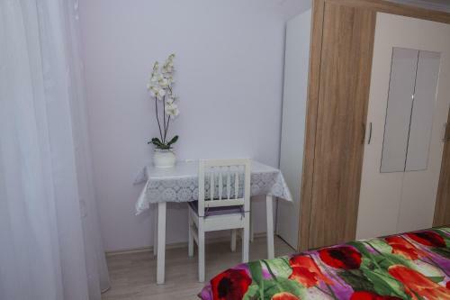 Apartman ?ur?ica